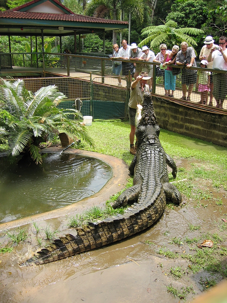 129 Cairns Tropical Zoo.jpg